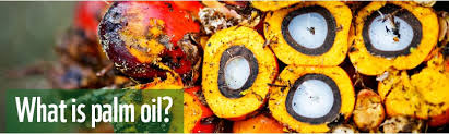 Find the list of top palm oil products in australia on our business directory. What S The Products With Palm Oil Technology Analysis