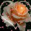 Animated images on a transparent and opaque background. 1