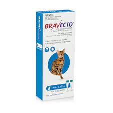 Check spelling or type a new query. Bravecto Cat Spot On Blue 2 8 6 25kg 2 X 3 Months