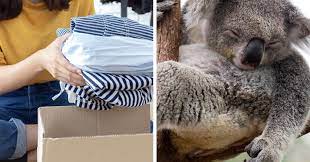 Select from our range of jura & cafetto coffee machine cleaning products to suit all makes and models of domestic and commercial coffee machines including breville, jura, illy, saeco, delonghi, nespresso, miele. 10 Small Ways You Can Help The Australian Bushfire Relief Effort