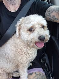 The places Luna likes to sleep 😆