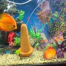 4k and hd video ready for any nle immediately. Tropicalfish Tong S Tropical Fish Pet And Supplies Facebook