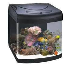 Boyu By 308 Aquarium Fish Tank Amazon In Pet Supplies