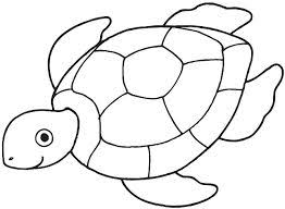 Maybe you would like to learn more about one of these? 87 Gambar Kolase Hewan Kura Kura Terbaru Kumpulan Gambar Kolase