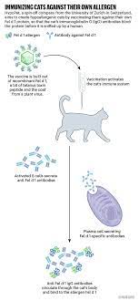 And a personalized feeding guide. The Race To Deliver The Hypoallergenic Cat