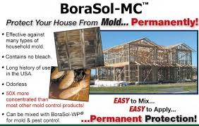 Fixing termite damage is seldom as easy as phoning your pest. Protect Your House From Mold Quality Borate Gt Products Gt Pest Control Products Gt Borasol Mc Pest Control Mcs Cleaning Hacks