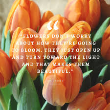 Search by recipient or sentiment to optimize your hunt for the perfect saying. 55 Inspirational Flower Quotes Beautiful Motivational Sayings With Pictures