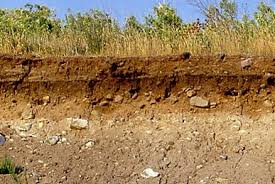 Tanah merupakan bagian dari kerak bumi yang tersusun dari bahan organik dan mineral. 28 Jenis Jenis Tanah Di Indonesia Manfaat Persebaran Gambarnya Ilmugeografi Com