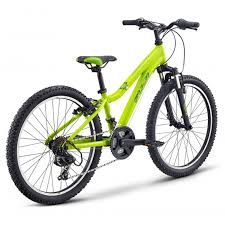 Kinderfahrrad 20 Zoll Ab 6 Jahre Kinder Mountainbike Fuji Dynamite20 Fahrrad Mtb Ebay