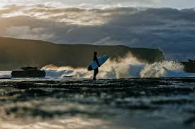 Planet Earth III: Release date, trailer and episode details | Radio Times