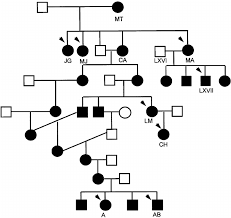Research genealogy for marie antoinette of liege, belgium, as well as other members of the antoinette family, on ancestry®. Pedigree Of Louis Xvi And Marie Antoinette The Maternal Lineage Of Download Scientific Diagram