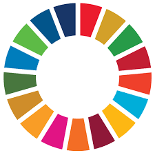 The score can be interpreted as a the percentage of sdg achievement. Sdg Film Wir Machen Uns Die Welt Wie Sie Uns Gefallt Deutsche Gesellschaft Fur Die Vereinten Nationen E V