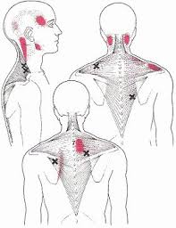 Pin On Las Vegas Massage Pictures