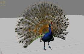 Previous Nextprevious Next Animation Poly 3d Model