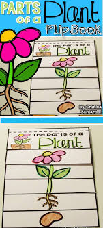 1 Lesson Plan Ideas Parts Of A Plant Flip Book Plants Kindergarten Flip Book Parts Of A Plant