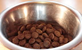 Je suis une labrador gourmande comme tout, et autant vous dire que je connais bien le sujet des croquettes pour chien ! Comment Choisir Les Croquettes Pour Son Chien