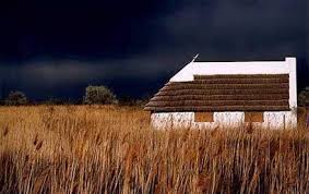 Cabane De Gardian Mas Camarguais Camargue Paysage France La Provence France