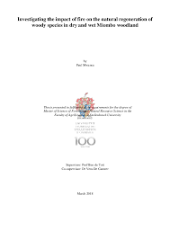 Image result for Ozoroa okavangensis