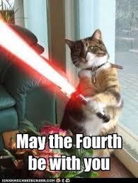 May The Fourth Be With You Funny Cat Photos Happy Star Wars Day Funny Animals