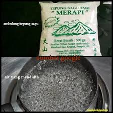 Tepung sagu dan tapioka berasal dari pati tanaman yang berbeda. Resepi Puteri Mandi Brunei