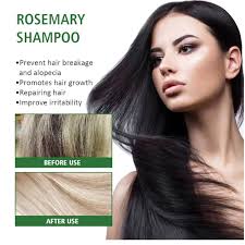 Amazon.com : Organic Rosemary Hair Growth Shampoo，Rosemary Hydrolyzed  Keratin Shampoo, Nourishes and Regenerates Hair (2PCS) : Beauty & Personal  Care