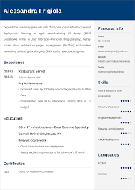 The best cv examples for your job hunt. Entry Level Resume Examples Template Tips