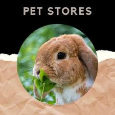 Pet shop near me open now. Pet Stores Near Me Best Places And Deals With Online Map