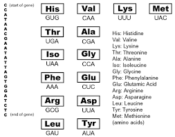 lab manual exercise 3