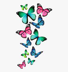Abstract floral with butterfly background. Watercolor Butterfly Clipart Transparent Background Hd Png Download Transparent Png Image Pngitem