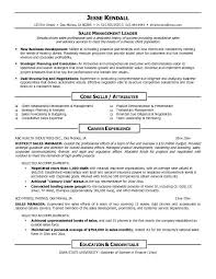 Template Sales Resume Examples Sales Resume Manager Resume