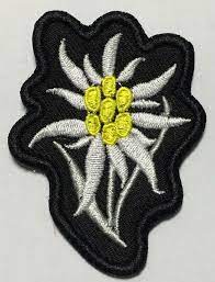 Wwii German Wh Heer Mountain Troops Edelweiss Sleeve Insignia Patch