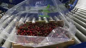 ¿zumo o pieza de fruta? Agricultura Y Presunto Caso De Cerezas Con Covid No Existe Una Comunicacion Oficial De Parte Del Gobierno Chino Emol Com
