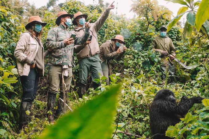Trekkers hiking through dense green mountain jungle trail with ranger guide