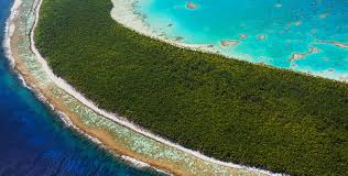 The brando resort, occupies the island once owned by the late actor marlon brando. Press Coverage The Brando