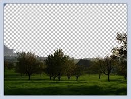 Den hintergrund eines bildes in irfanview transparent zu machen, sodass nur bestimmte objekte zu sehen sind, ist gar nicht so schwer und kann bereits mit wen. Video Paint Net Hintergrund Entfernen So Geht S