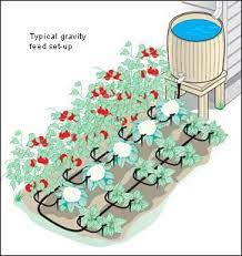 Gravity Feed Watering Kit Lee Valley Tools Aquaponics Aquaponics System Irrigation