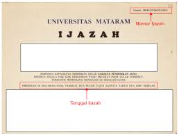 Ijasah s kep bisa ikut cpns / lulusan sma bisa daftar sekolah kedinasan dan cpns berikut informasi lengkapnya infobandaaceh. Cara Melihat Letak Nomor Ijazah Sma D3 S1 Terlengkap Salamadian