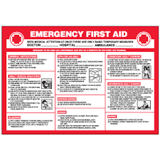 Emergency First Aid Workplace Safety Wallchart