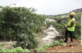 On june 5, sonko suspended cec for environment veska kangogo for insubordination after she allegedly travelled to the us without his permission. Veska Kangogo Kangogoveska Twitter