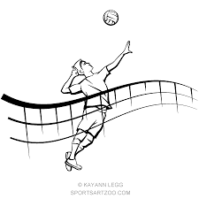 Male Volleyball Player Spiking In Front Of Flowing Net Sportsartzoo Pallavolo
