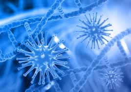Duke-NUS researchers discover new bat-borne virus related to Ebola - SingHealth