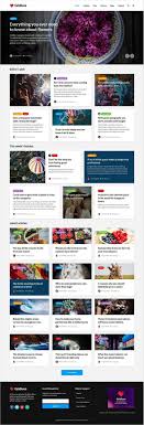 Wordpress Advice Blogging Blogs Blog Themes Wordpress Magazine Theme Wordpress Magazine Website Design