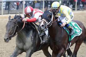 Cloud Computing Edges Classic Empire In Preakness Stakes