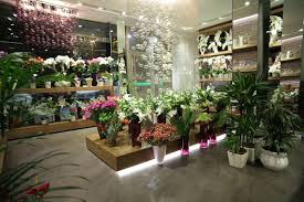 Flower Shop By Aysu Cicek Istanbul Retail Design Blog Flower Shop Design Flower Shop Interiors Flower Shop Decor