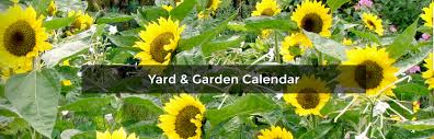For inps to perform its mission, it is important that it be a diverse group. March Garden Calendar Indiana Yard And Garden Purdue Consumer Horticulturepurdue University Indiana Yard And Garden Purdue Consumer Horticulture