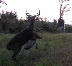 Choanoke Outfitters added a new photo.