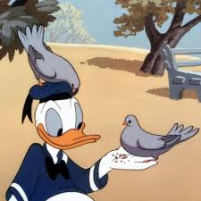 Do you know the collective noun for a group of ducks? The Book That Exposed The Cynical Politics Of Donald Duck The New Yorker