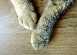 Maybe you would like to learn more about one of these? Knflkxameuwcam