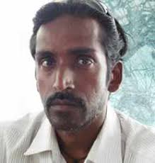 How to Keep Snakes Away From Your Home?