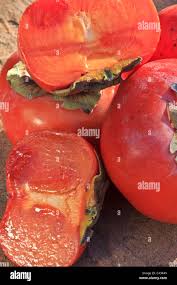 Diospyros Ebenaceae Edible Fruit Fruit Fruits Fuyu Health Japanese Persimmons Kaki Persimmons Stock Photo Alamy